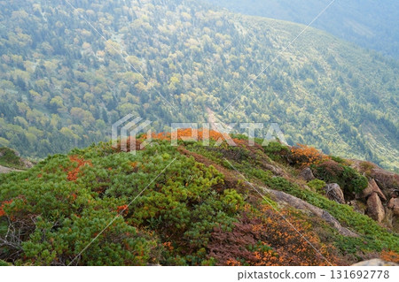在山頂上的秋葉 131692778