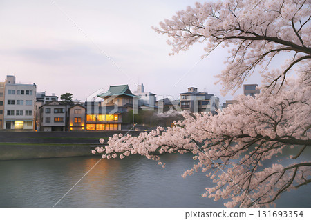 金澤，黃昏時分西川沿岸的櫻花與城市景觀插圖 131693354