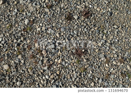 地面紋理（石頭、枯葉、土壤） 131694670
