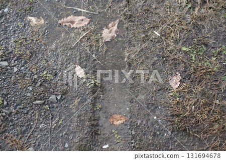 Ground texture (stone, dead leaves, soil) 131694678