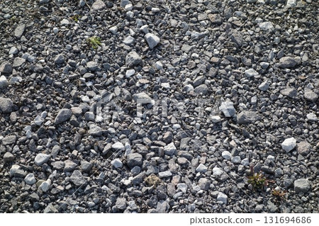 Ground texture (stone, dead leaves, soil) 131694686