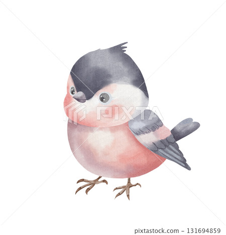 Bullfinch. Cute red bird with black wings, painted in watercolors. Winter bird, isolated on white background. Children style. For design, postcards Bullfinch. Cute red bird with black wings, painted in watercolors. Winter bird, isolated on white background. Children style. For design, postcards 131694859