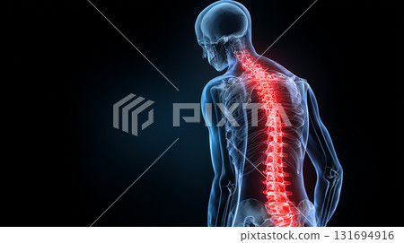 強調從頭部到腰部的脊椎的人體圖像 131694916