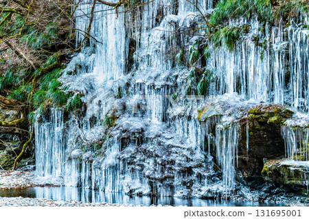 埼玉縣秩父市埼玉縣埼玉町的冰柱 埼玉縣秩父市埼玉縣埼玉町的冰柱 131695001