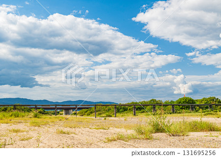 京都府八幡市木津川上的木橋，上津屋橋（流橋），從乾涸的河床望去 131695256