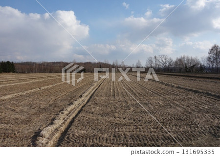 A view of rice fields and forests just after the snow melts A view of rice fields and forests just after the snow melts 131695335