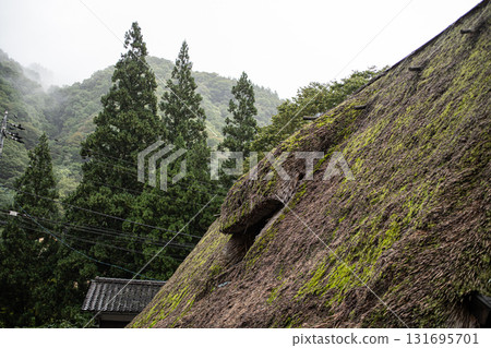 霧氣籠罩的杉樹林和茅草屋 131695701