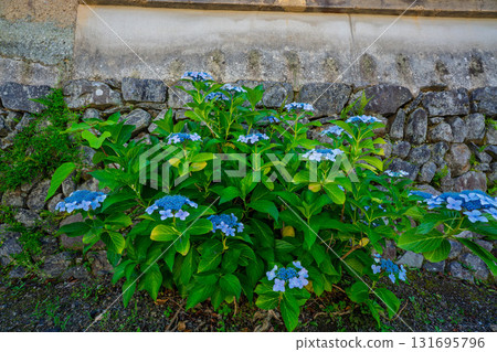 The earthen wall remaining in Bishamon Mukohata, Chitose-cho, Kameoka City, Kyoto Prefecture, looks like something out of a period drama 131695796