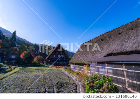 [World Heritage Site] Shirakawa-go in full autumn color [Gifu Prefecture] 131696140