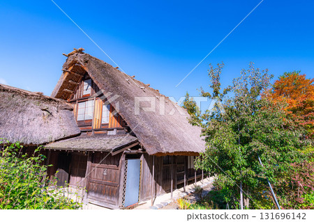 [World Heritage Site] Shirakawa-go in full autumn color [Gifu Prefecture] 131696142