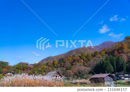 【世界遺產】紅葉盛開的白川鄉【岐阜縣】 131696157