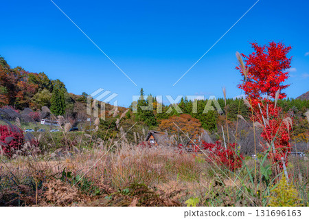 [World Heritage Site] Shirakawa-go in full autumn color [Gifu Prefecture] 131696163