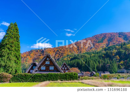 [世界遺產] 紅葉盛開的白川鄉/三連莊[岐阜縣] 131696188