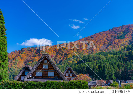 [World Heritage Site] Shirakawa-go and Sanrengosho in full autumn color [Gifu Prefecture] 131696189