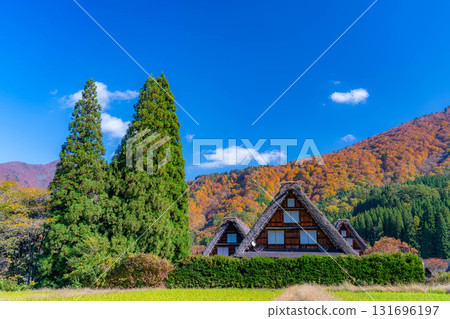 [World Heritage Site] Shirakawa-go and Sanrengosho in full autumn color [Gifu Prefecture] 131696197