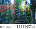 Red maple trees covering the approach stairs 131696711