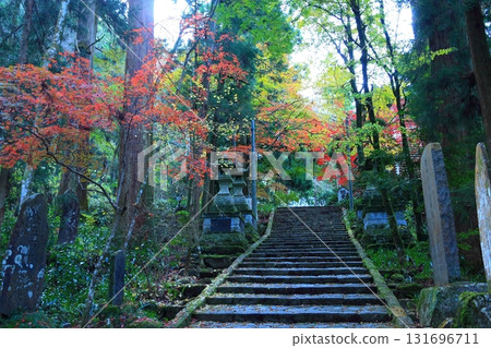 Red maple trees covering the approach stairs 131696711