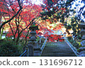 Red maple trees covering the approach stairs 131696712