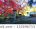 Red maple trees covering the approach stairs 131696713