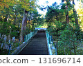 The colorful maple trees covering the approach stairs 131696714
