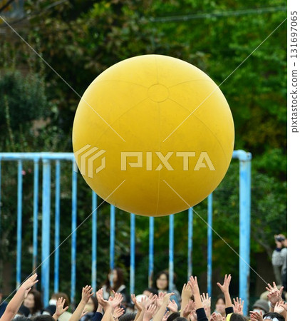 Rolling the big ball ☆mar_lapin 131697065
