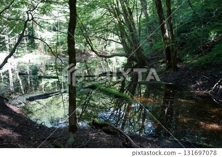 Twelve Lakes in September: Michishiba Pond 131697078