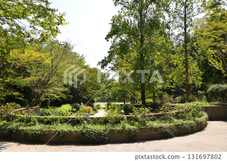 Mito Botanical Garden 2025-8-31 #81 131697802