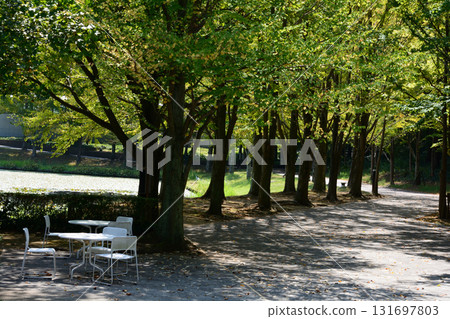 Mito Botanical Garden 2025-8-31 #82 131697803