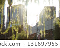夕陽照亮了市中心的樹葉和建築物 131697955