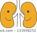 Cute illustration of kidneys 131698252