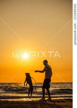 Dog jumping on sandy beach as man plays with stick during golden sunset near ocean waves 131698302