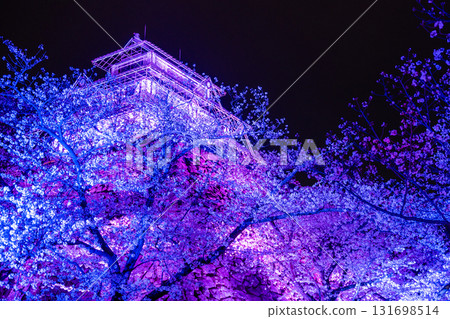 <福岡縣>舞鶴公園~點燈櫻花盛開 <福岡縣>舞鶴公園~點燈櫻花盛開 131698514