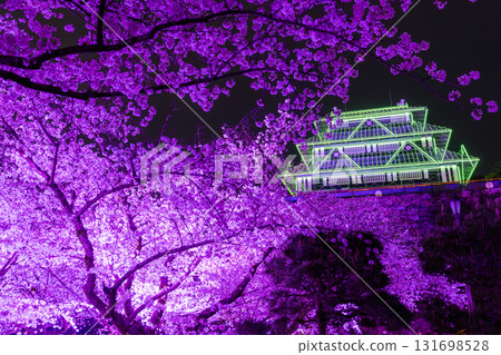 <福岡縣>舞鶴公園～點燈櫻花盛開 131698528