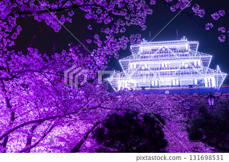<Fukuoka Prefecture> Maizuru Park - Illuminated cherry blossoms in full bloom 131698531