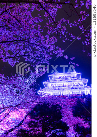 <Fukuoka Prefecture> Maizuru Park - Illuminated cherry blossoms in full bloom <Fukuoka Prefecture> Maizuru Park - Illuminated cherry blossoms in full bloom 131698540