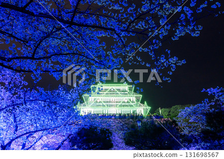 <Fukuoka Prefecture> Maizuru Park - Illuminated cherry blossoms in full bloom 131698567