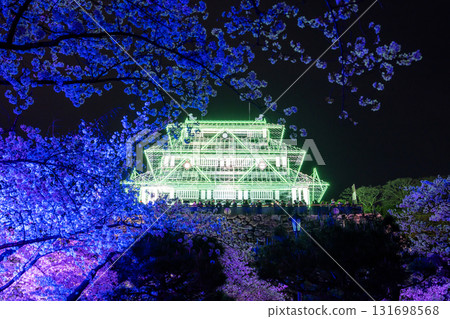 <Fukuoka Prefecture> Maizuru Park - Illuminated cherry blossoms in full bloom 131698568