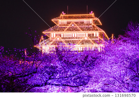 <福岡縣>舞鶴公園～點燈櫻花盛開 131698570