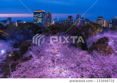 Fukuoka Prefecture: View of the castle tower at Maizuru Park and illuminated cherry blossoms in full bloom Fukuoka Prefecture: View of the castle tower at Maizuru Park and illuminated cherry blossoms in full bloom 131698718