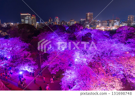 Fukuoka Prefecture: View of the castle tower at Maizuru Park and illuminated cherry blossoms in full bloom 131698748