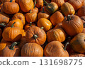 Group of pumpkins at a meadow. 131698775