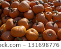 Group of pumpkins at a meadow. 131698776