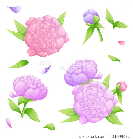A set of crocuses of different colors on a white background., individual petals. Isolated vector illustration for the design of postcards, clothing, textiles, banners and posters. 131699082