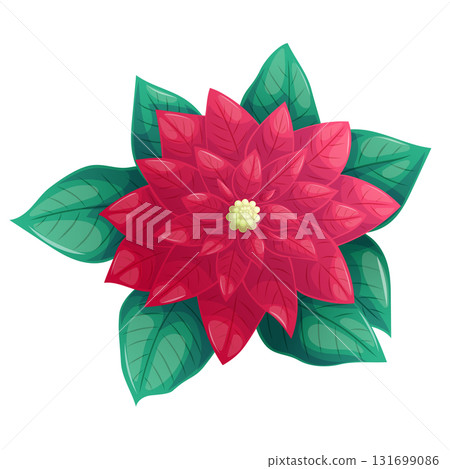 Poinsettia close-up on a white background. A traditional Christmas plant. The concept of Christmas, New Year, holiday. Isolated vector illustration for the design ofposter, banner, website 131699086