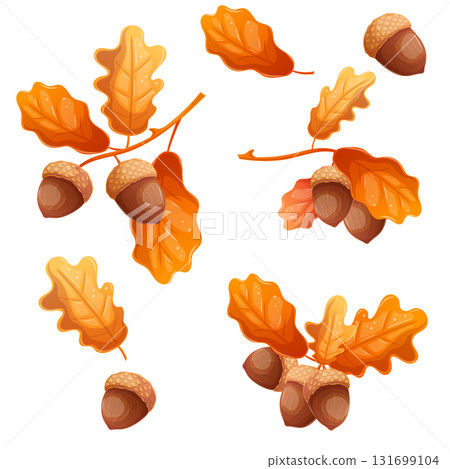 A set of natural elements, acorns, cones, mountain ash on a white background. The concept of autumn, autumn crafts. Isolated vector illustration for the design of postcard, textile, banner and poster. 131699104