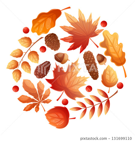 A set of colorful autumn leaves in the shape of a circle on a white background. Autumn foliage. Isolated vector illustration for the design of postcards, clothing, textiles, banners and posters. 131699110