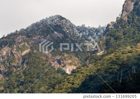 The mystical and fantastical mountains where gods reside: Yakushima, a World Heritage Site (Winter) 131699205