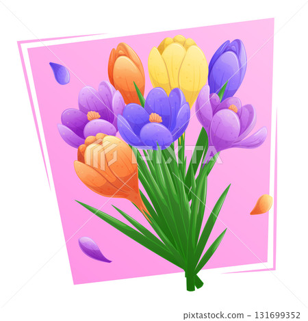 Bouquet of multicolored crocuses on a pink background. Isolated vector illustration for the design of postcards, clothing, textiles, banners and posters. Bouquet of multicolored crocuses on a pink background. Isolated vector illustration for the design of postcards, clothing, textiles, banners and posters. 131699352