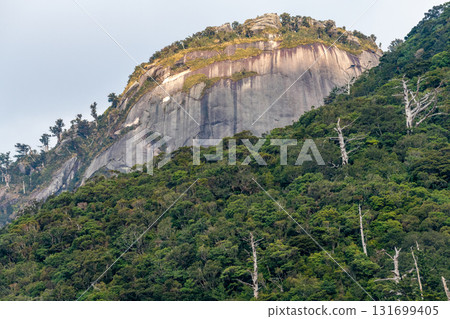 Yakushima, a World Heritage Site with a huge rocky mountain where gods reside (winter) Yakushima, a World Heritage Site with a huge rocky mountain where gods reside (winter) 131699405