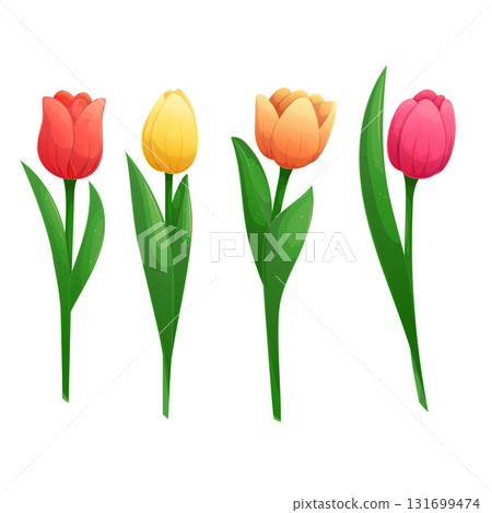 A set of tulips of different colors on a white background. Isolated vector illustration for the design of postcards, clothing, textiles, banners and posters. 131699474
